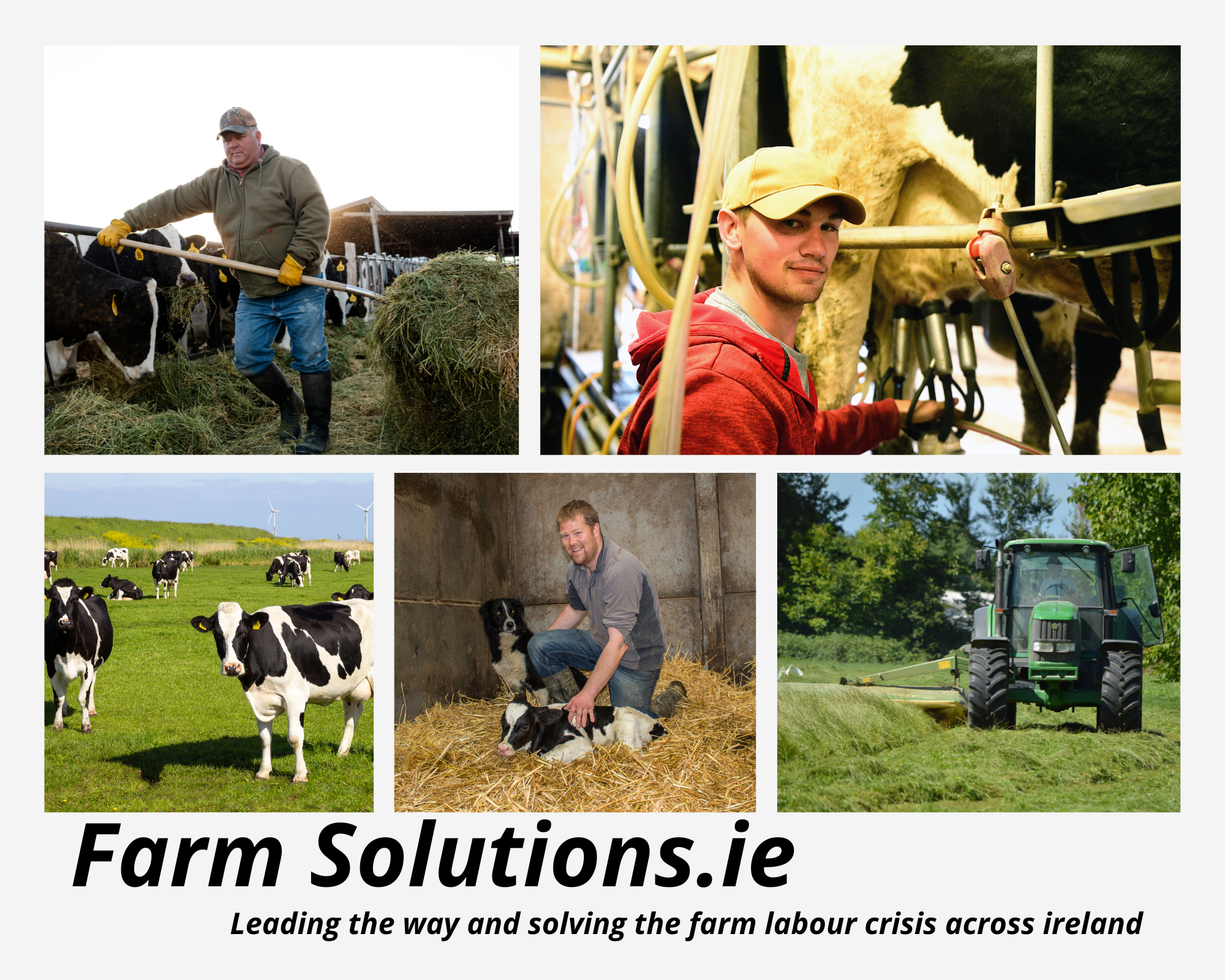 Dairy Farming